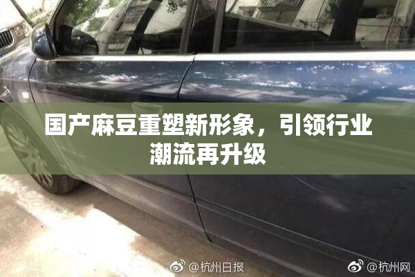 国产麻豆重塑新形象，引领行业潮流再升级