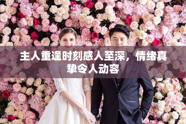 主人重逢时刻感人至深，情绪真挚令人动容