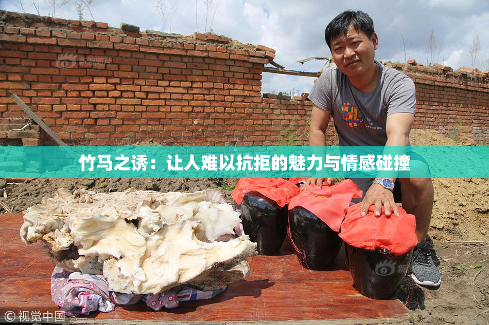 竹马之诱：让人难以抗拒的魅力与情感碰撞