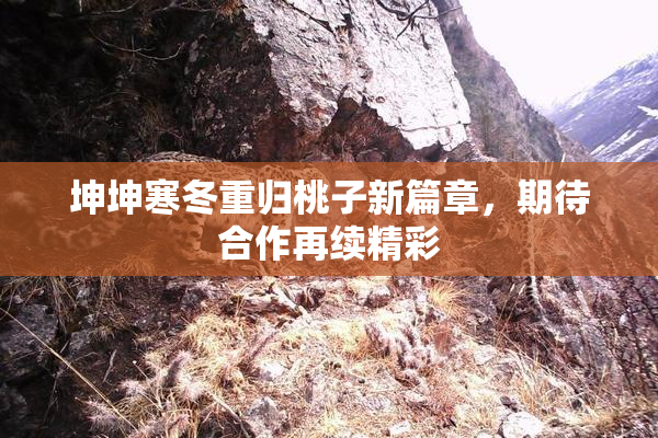坤坤寒冬重归桃子新篇章，期待合作再续精彩
