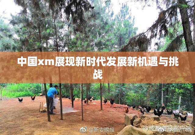 中国xm展现新时代发展新机遇与挑战