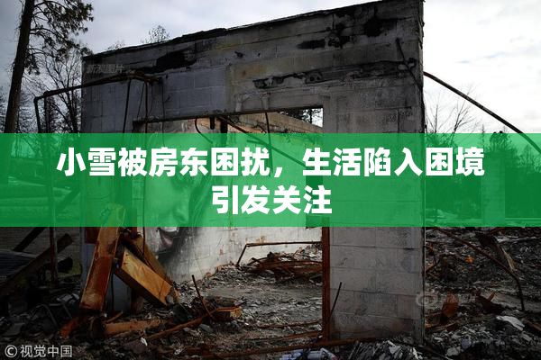 小雪被房东困扰，生活陷入困境引发关注