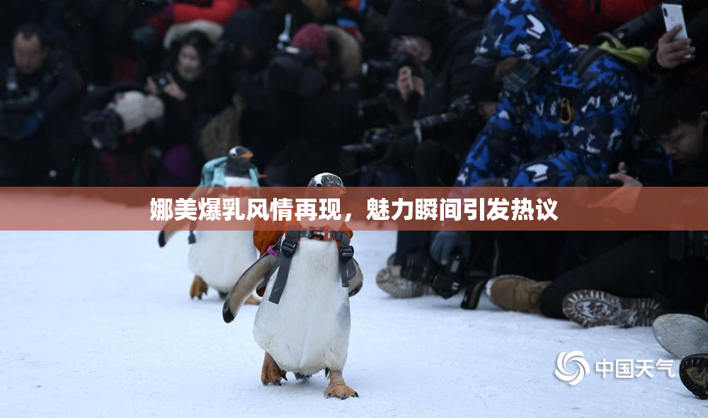 娜美爆乳风情再现，魅力瞬间引发热议