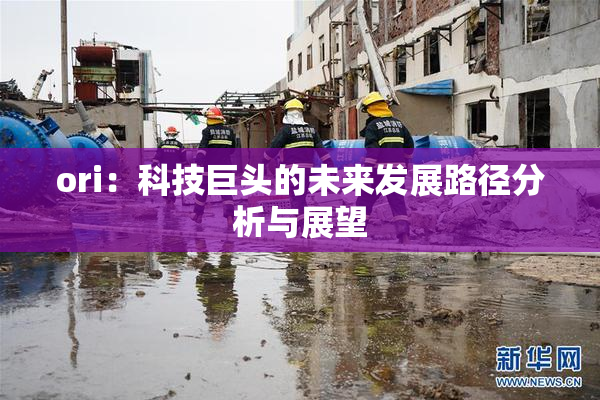 ori：科技巨头的未来发展路径分析与展望