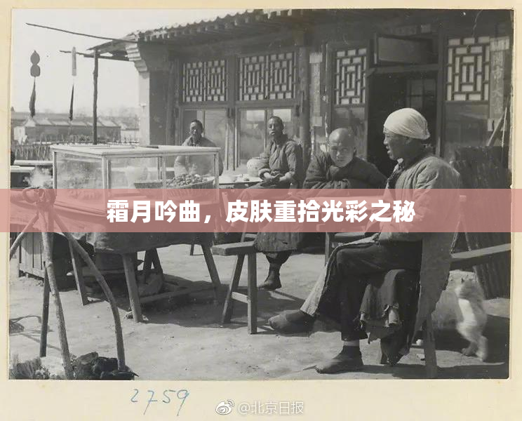 霜月吟曲，皮肤重拾光彩之秘