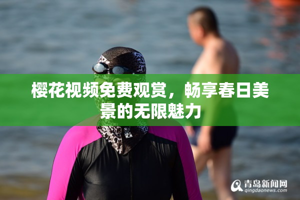 樱花视频免费观赏，畅享春日美景的无限魅力