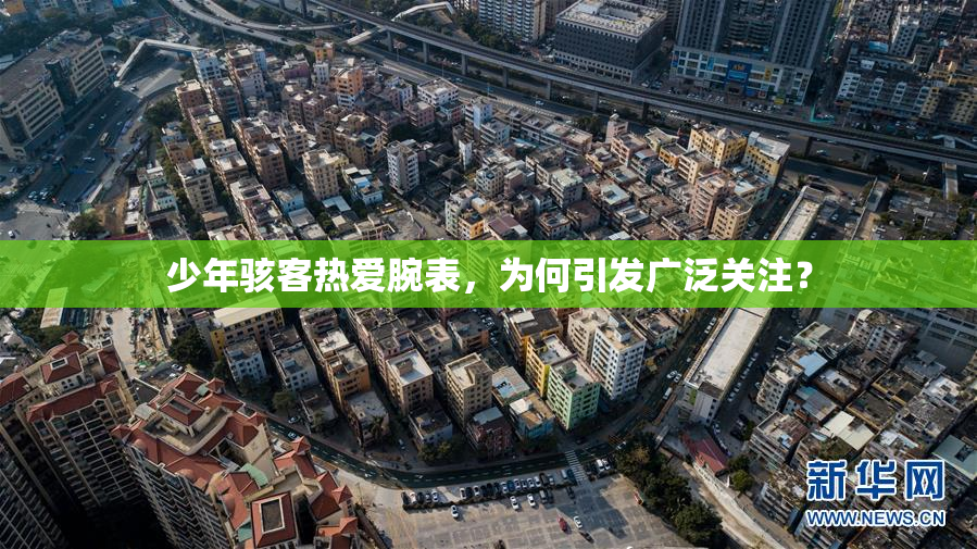 少年骇客热爱腕表，为何引发广泛关注？