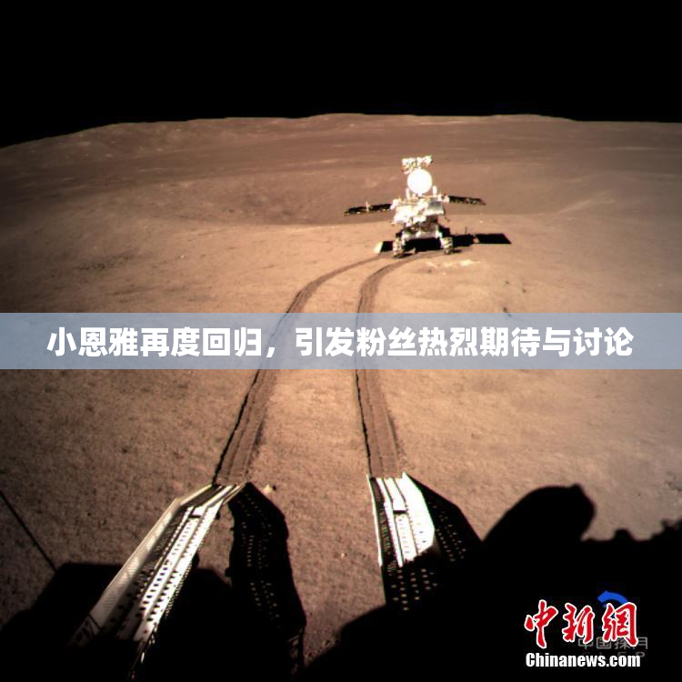 小恩雅再度回归，引发粉丝热烈期待与讨论