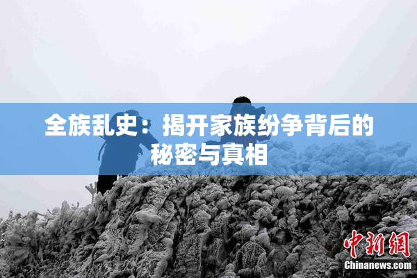 全族乱史：揭开家族纷争背后的秘密与真相