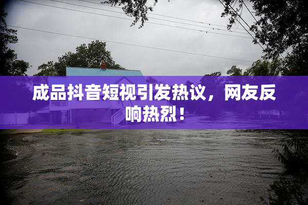 成品抖音短视引发热议，网友反响热烈！