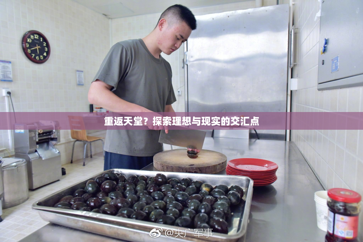 重返天堂？探索理想与现实的交汇点