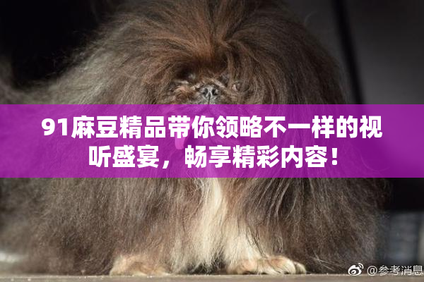 91麻豆精品带你领略不一样的视听盛宴，畅享精彩内容！