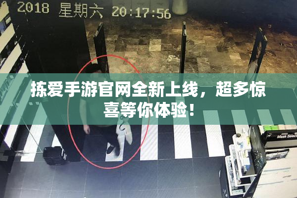 拣爱手游官网全新上线，超多惊喜等你体验！