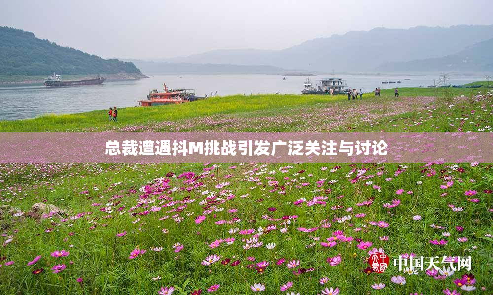 总裁遭遇抖M挑战引发广泛关注与讨论