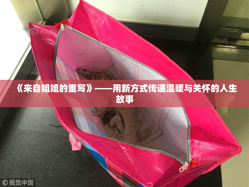 《来自姐姐的重写》——用新方式传递温暖与关怀的人生故事