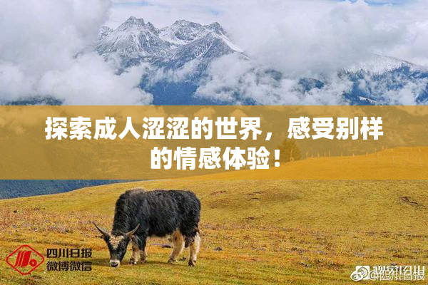 探索成人涩涩的世界，感受别样的情感体验！
