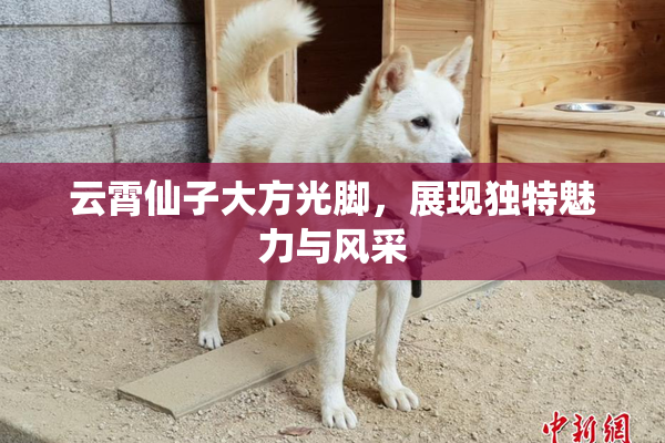 云霄仙子大方光脚，展现独特魅力与风采