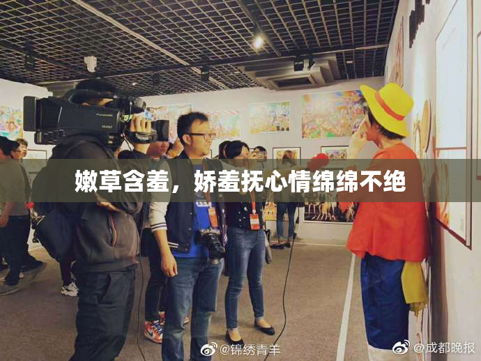 嫩草含羞，娇羞抚心情绵绵不绝