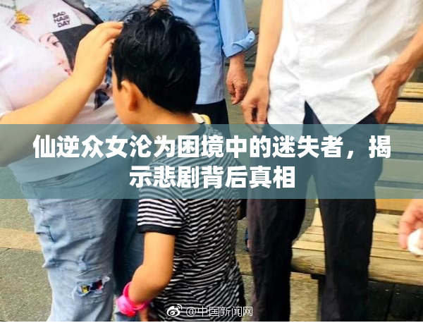 仙逆众女沦为困境中的迷失者，揭示悲剧背后真相