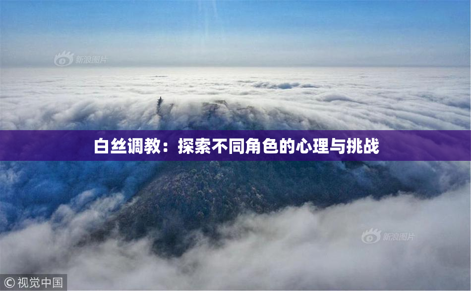 白丝调教：探索不同角色的心理与挑战