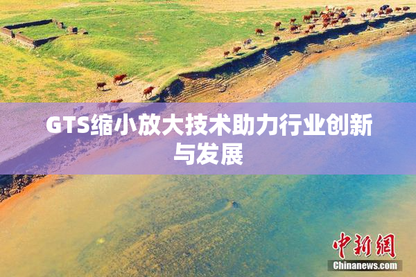 GTS缩小放大技术助力行业创新与发展