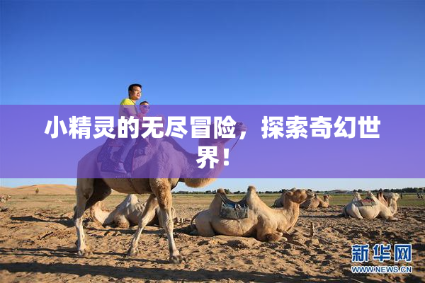 小精灵的无尽冒险，探索奇幻世界！