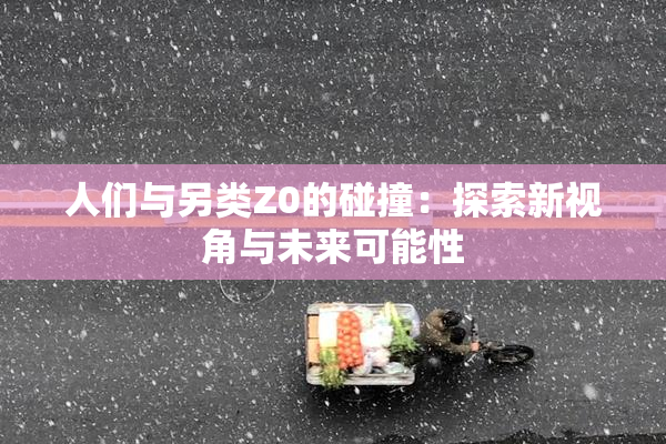 人们与另类Z0的碰撞：探索新视角与未来可能性
