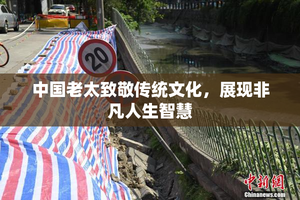 中国老太致敬传统文化，展现非凡人生智慧