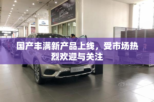 国产丰满新产品上线，受市场热烈欢迎与关注