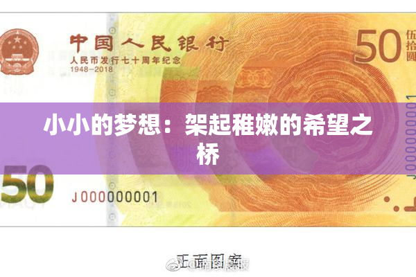 小小的梦想：架起稚嫩的希望之桥