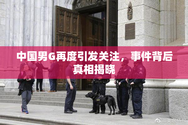 中国男G再度引发关注，事件背后真相揭晓