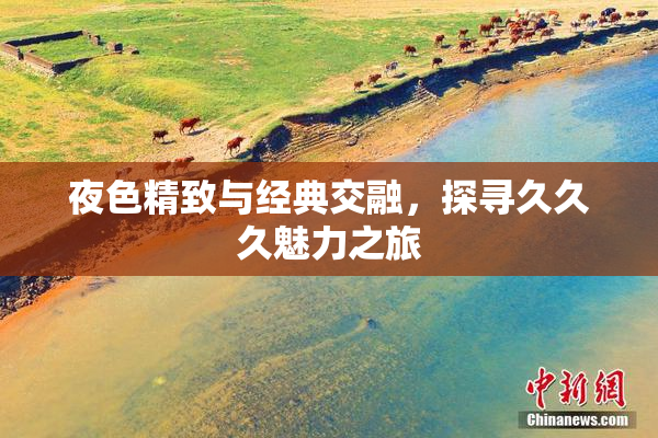 夜色精致与经典交融，探寻久久久魅力之旅
