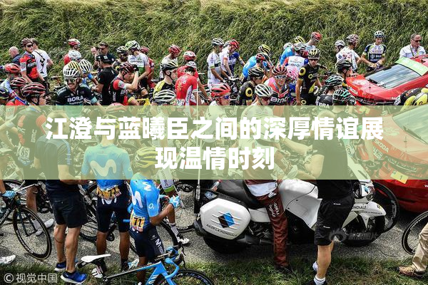 江澄与蓝曦臣之间的深厚情谊展现温情时刻