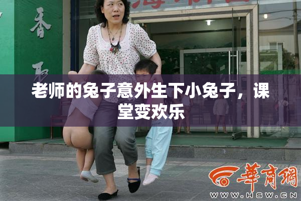 老师的兔子意外生下小兔子，课堂变欢乐