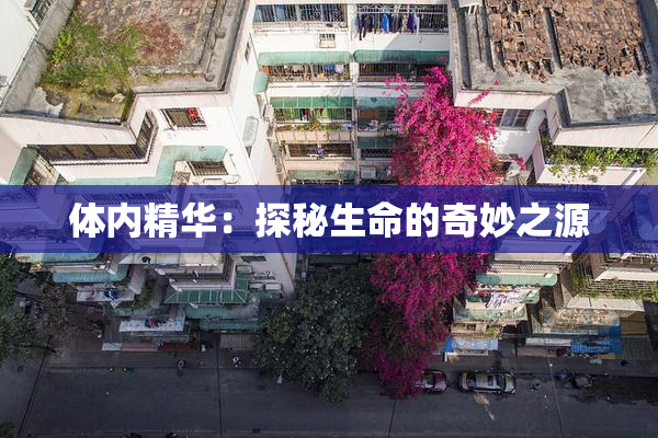 体内精华：探秘生命的奇妙之源