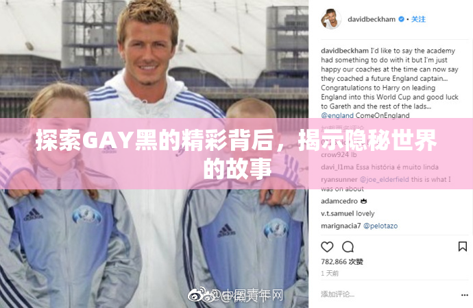 探索GAY黑的精彩背后，揭示隐秘世界的故事