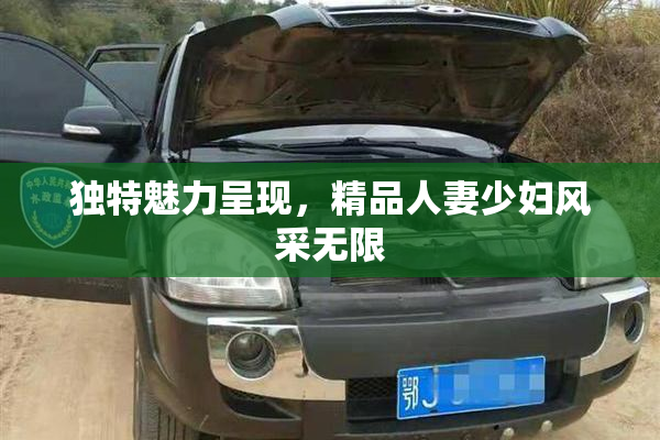 独特魅力呈现，精品人妻少妇风采无限