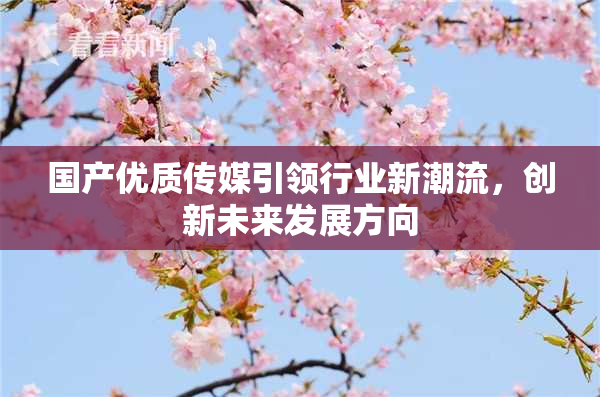 国产优质传媒引领行业新潮流，创新未来发展方向
