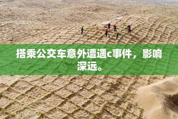 搭乘公交车意外遭遇c事件，影响深远。