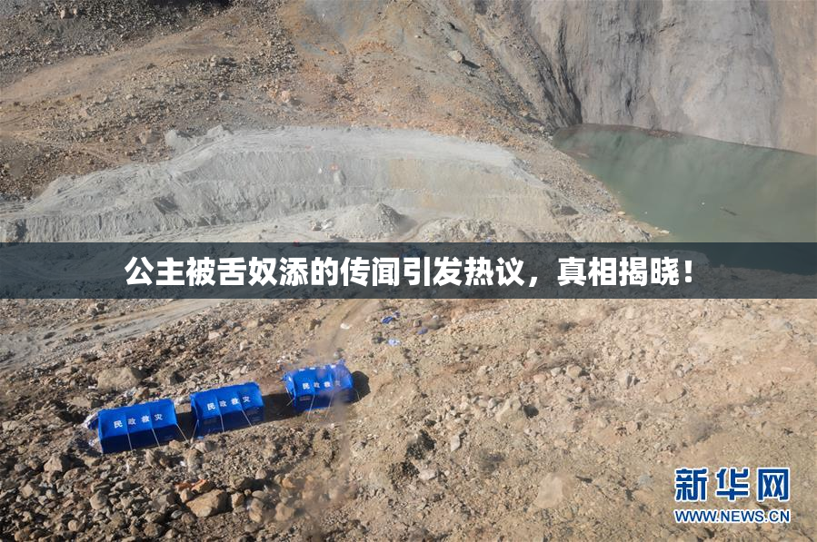 公主被舌奴添的传闻引发热议，真相揭晓！