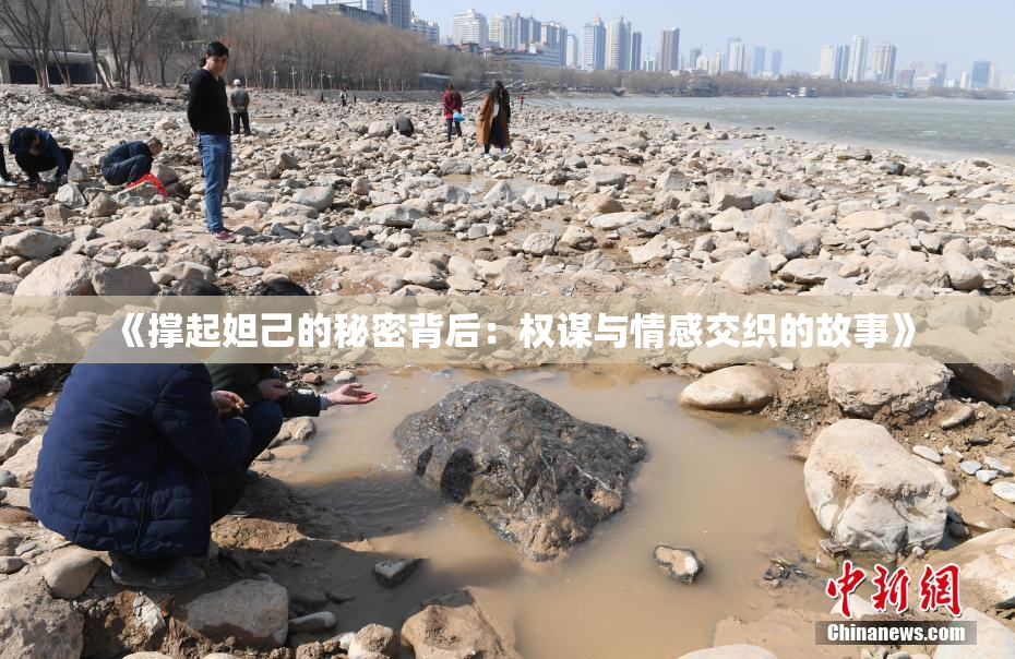 《撑起妲己的秘密背后：权谋与情感交织的故事》