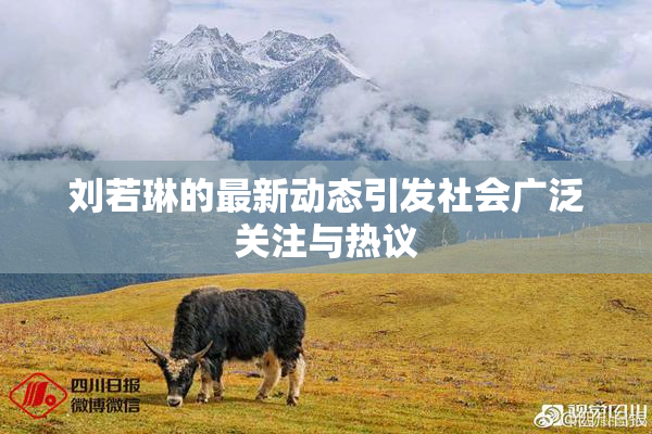 刘若琳的最新动态引发社会广泛关注与热议
