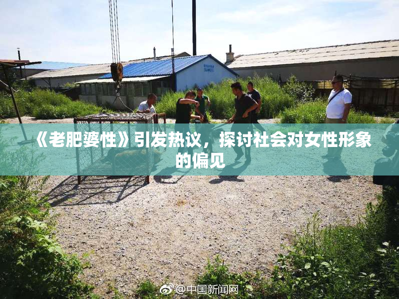 《老肥婆性》引发热议，探讨社会对女性形象的偏见