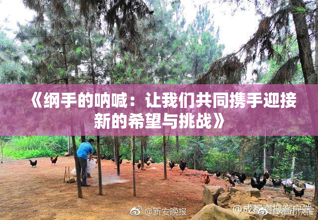 《纲手的呐喊：让我们共同携手迎接新的希望与挑战》