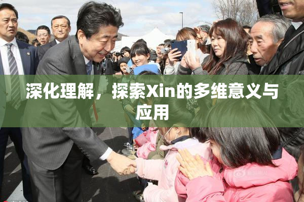 深化理解，探索Xin的多维意义与应用
