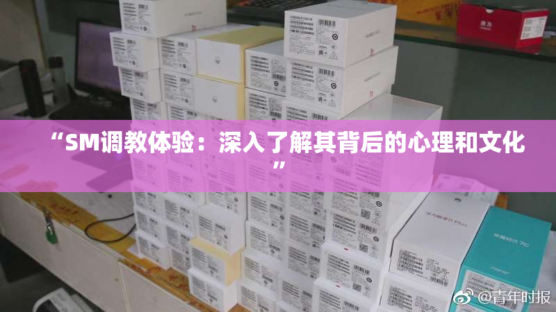 “SM调教体验：深入了解其背后的心理和文化”