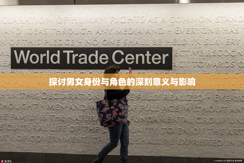 探讨男女身份与角色的深刻意义与影响