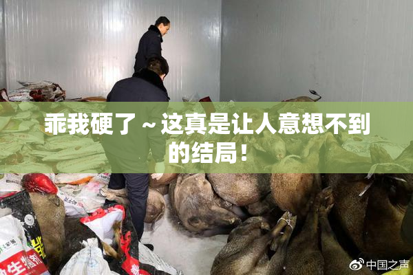 乖我硬了～这真是让人意想不到的结局！