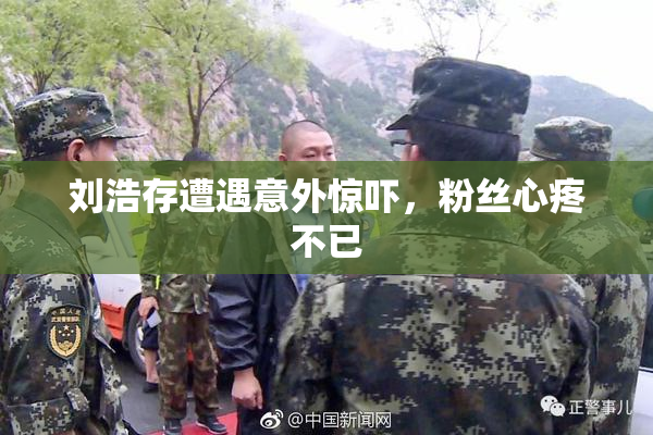 刘浩存遭遇意外惊吓，粉丝心疼不已