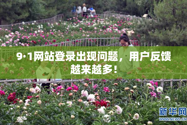 9·1网站登录出现问题，用户反馈越来越多！